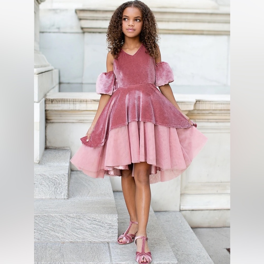 NWT Joyfolie Naava dress in Deep Mauve